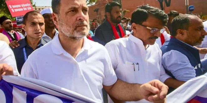 राहुल गांधी के प्रदर्शन के समर्थन में DMK, कहा- लोकतंत्र में आवाज उठाना अहम