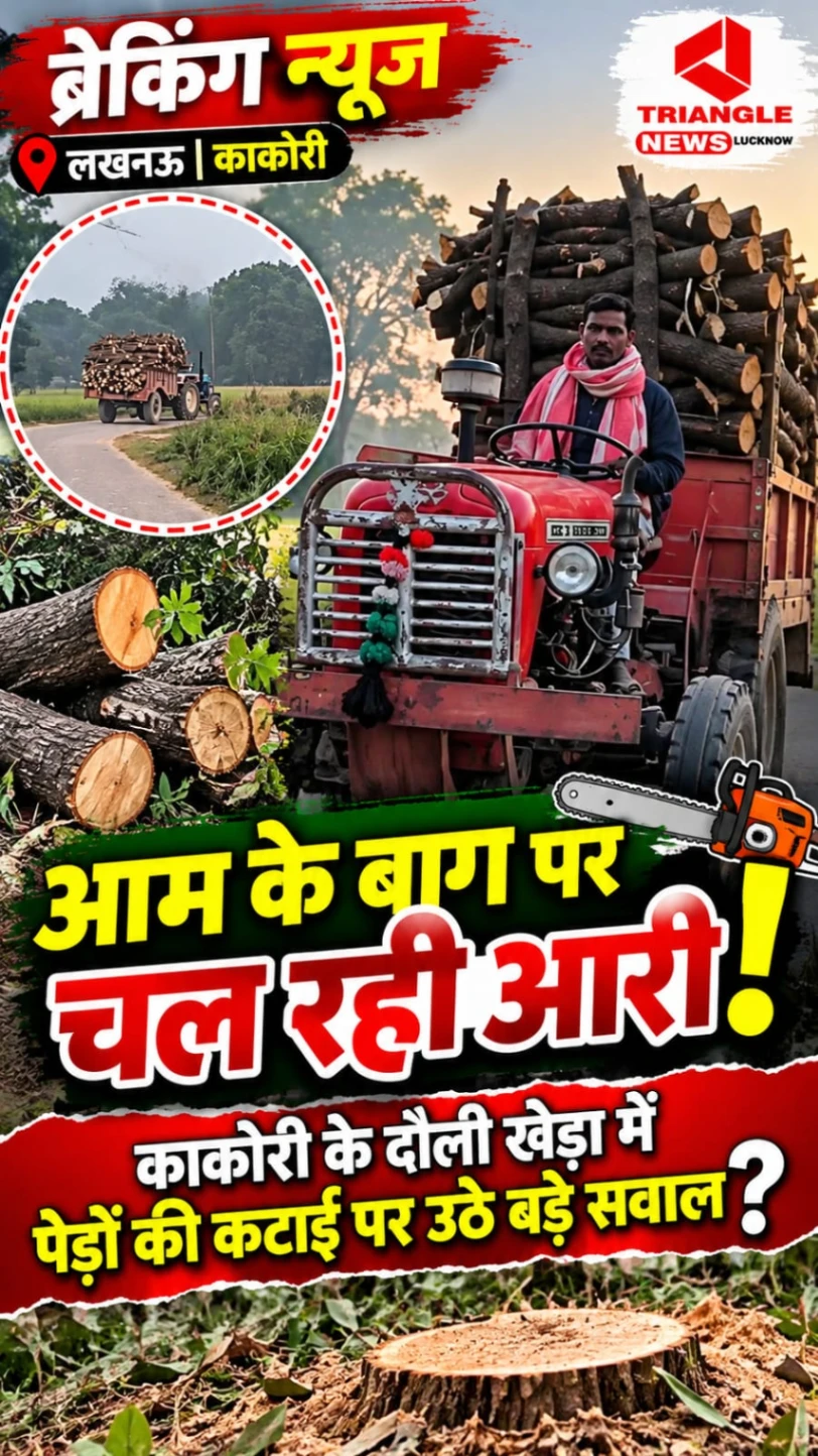 काकोरी के दौली गांव में आम के बाग पर चली आरी! पेड़ों की कटाई को लेकर उठे सवाल, जिम्मेदार विभाग कब लेंगे संज्ञान?